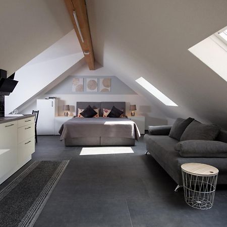 Ferienwohnung Regel Lauingen Esterno foto